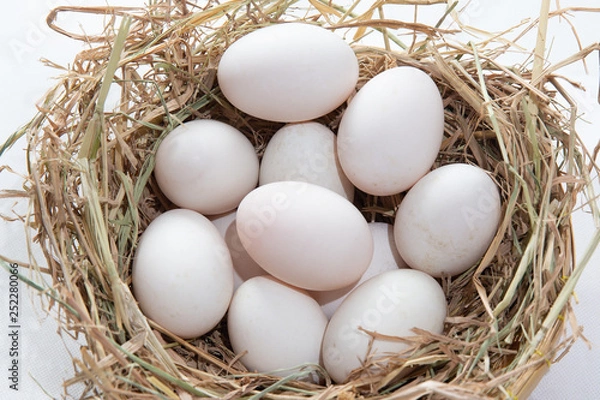 Fototapeta Easter eggs background. holiday, easter background. fresh eggs on the Straw floor.Eggs on a nest . ingredient of cuisine and dessert.