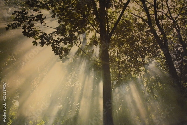 Fototapeta Lumiere pour Sophie