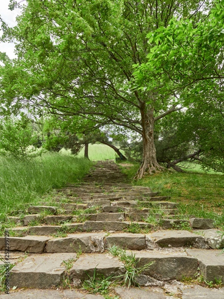 Fototapeta Old steps in the green park.