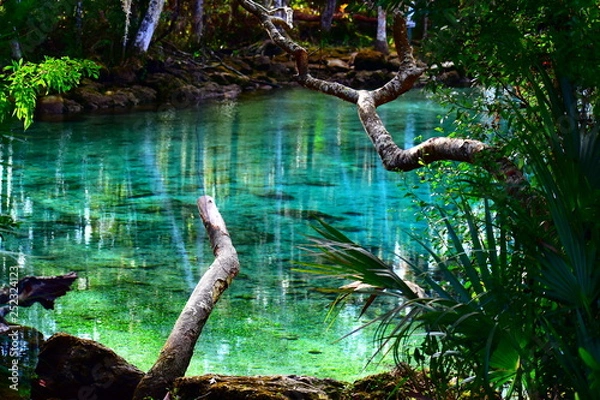 Obraz Three Sister Spring