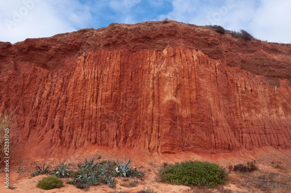 Obraz red cliff