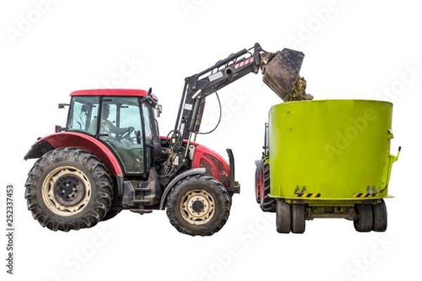 Fototapeta A tractor with a front loader loads silage feed into an animal feed distributor. Isolated photo. Necessary equipment for a dairy farm.