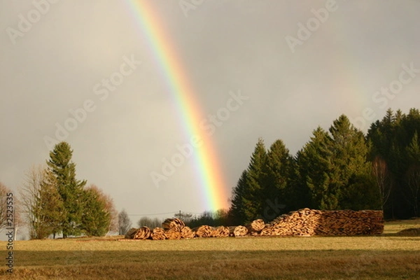 Obraz regenbogen hinter wald