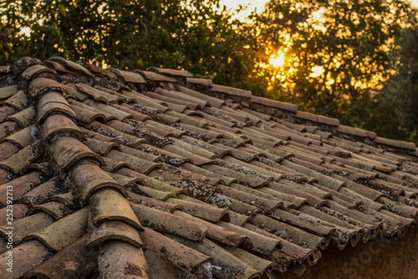 Fototapeta old dirty brown shingle house soft focus roof outdoor in evening sunset time with sun rays background, rural environment 