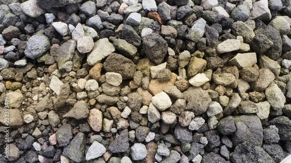 Fototapeta OLYMPUS DIGITAL CAMERA