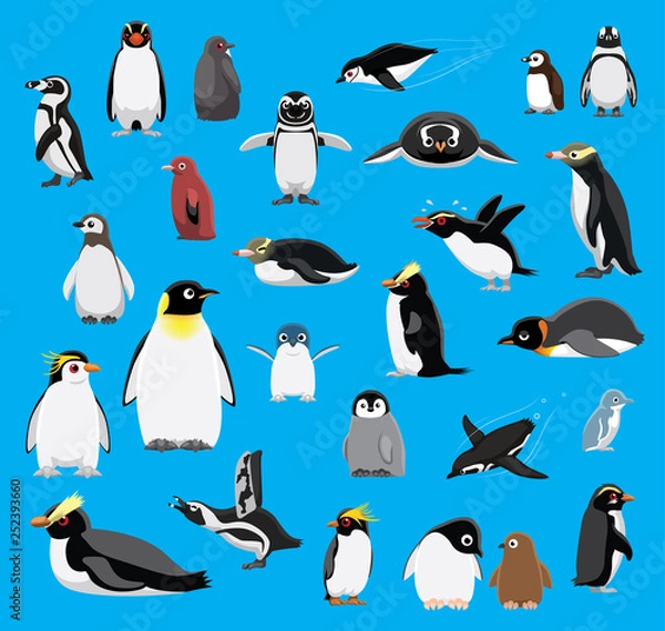 Fototapeta Various Penguin Cartoon Blue Background Vector Illustration