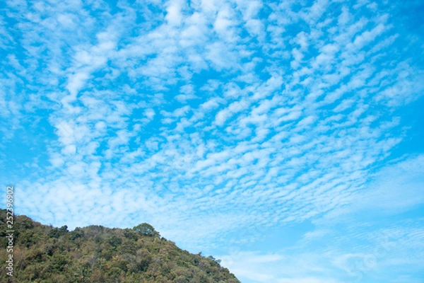 Fototapeta Clouds and sky and trees