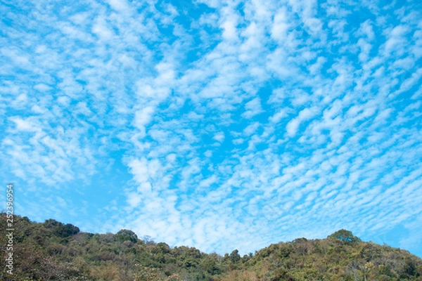 Fototapeta Clouds and sky and trees