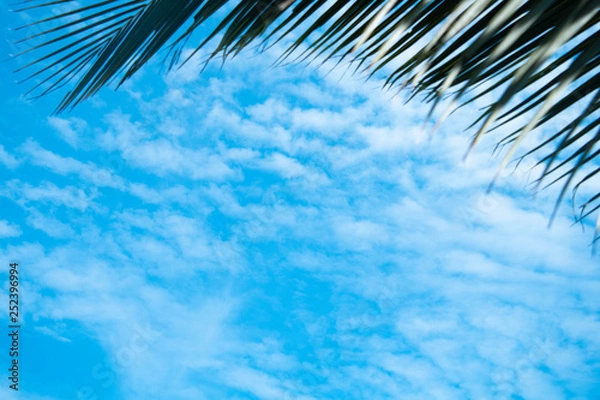 Fototapeta Clouds and sky and trees