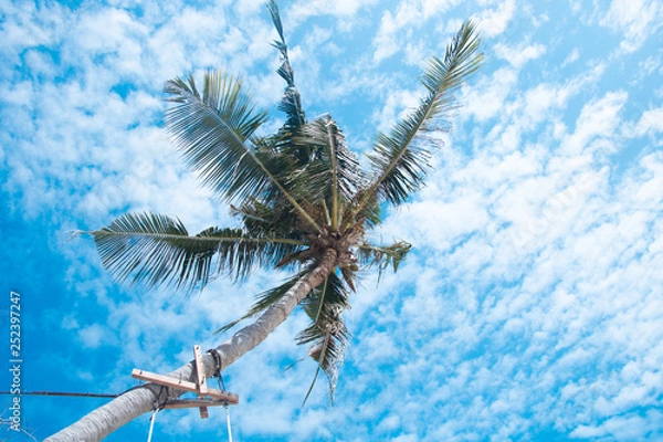 Fototapeta Clouds and sky and trees