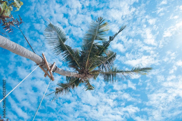 Fototapeta Clouds and sky and trees