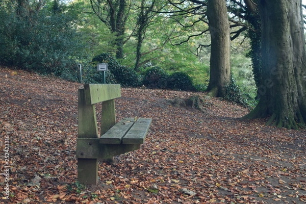 Obraz bench in autumn park