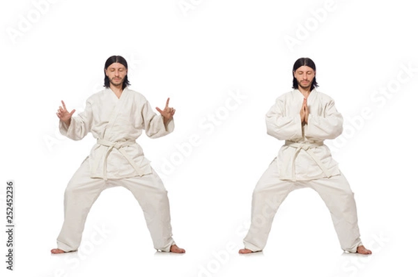 Obraz Karate fighter isolated on white