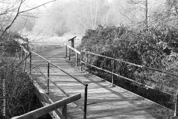Fototapeta Black and White Bridge