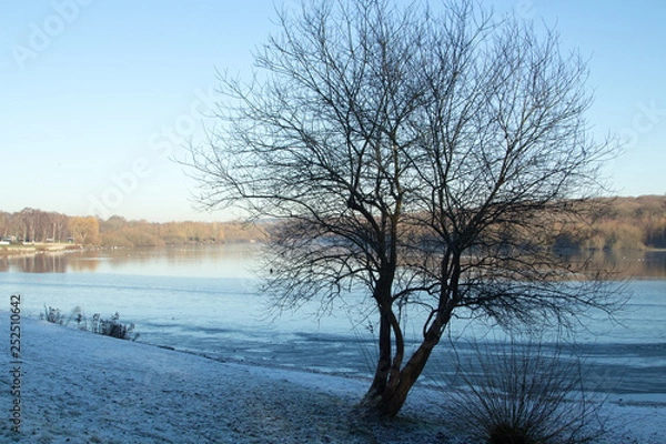 Fototapeta Tree on a Lake