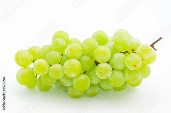 Obraz 正面からのマスカット