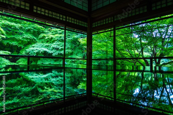 Obraz 京都 瑠璃光院 逆さ新緑