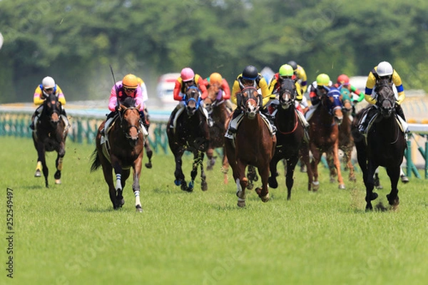 Obraz Tokyo Racecourse # 2