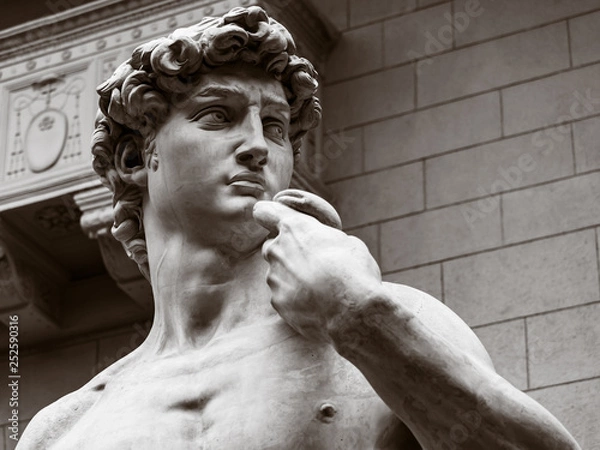 Fototapeta Statue of David