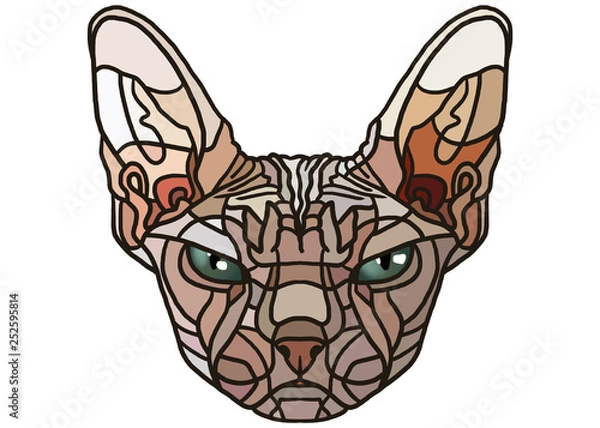 Obraz cat head isolated on white