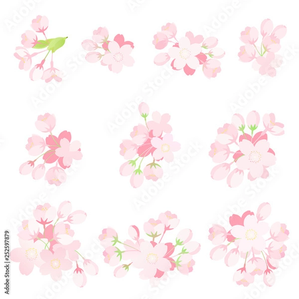 Obraz 桜の花　パーツセット