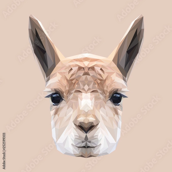 Fototapeta Llama low poly design. Triangle vector illustration.