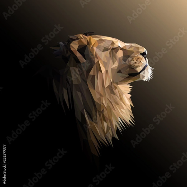 Obraz Lion low poly design. Triangle vector illustration.