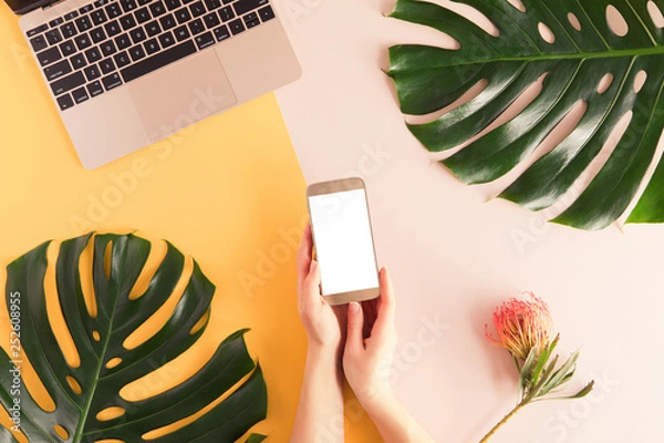 Fototapeta Female workspace with mobile phone in woman hands, computer, summer flowers and leaves on colorful pastel background. Flat lay of women's office desk. Top view feminine summer bright background.