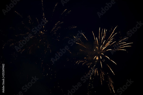 Fototapeta One bright colorful fireworks explosion in the sky. Beautiful pyrotechnics sparkling with effects