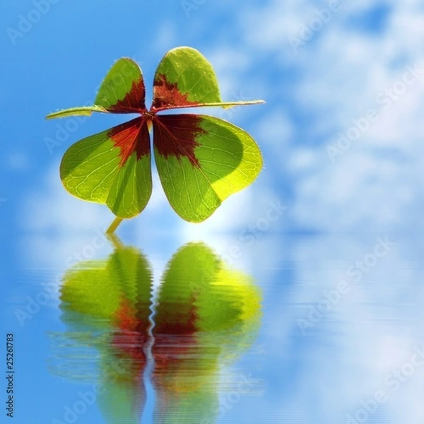 Obraz cloverleaf  -  trifolium