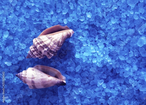 Obraz handmade soap and seashells on the background of sea salt
