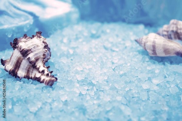 Fototapeta handmade soap and seashells on the background of sea salt