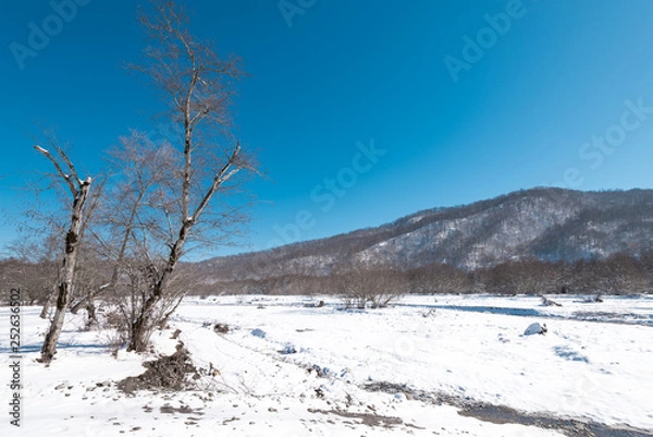 Obraz Beautiful snow covered winter mountain forest