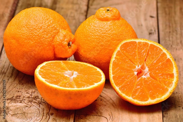 Obraz 柑橘類　しらぬひ