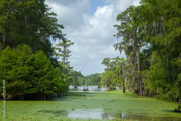 Obraz Swamp lake martin lafayette