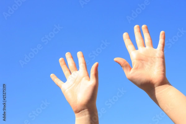 Fototapeta 女性の手