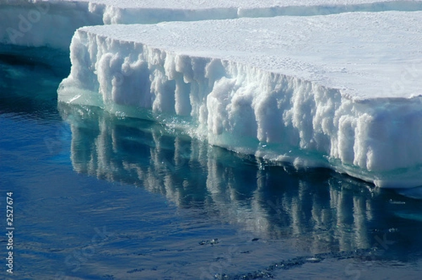 Fototapeta reflecting ice floe