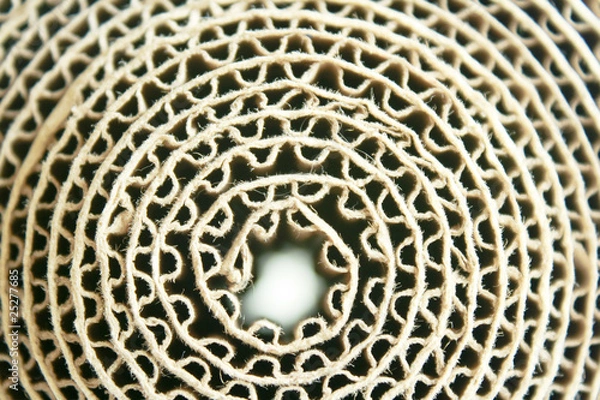 Obraz Corrugated paper rolls.