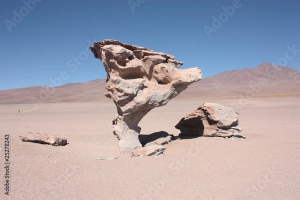 Obraz Árbol de Roca