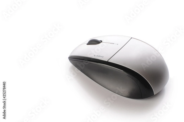 Obraz computer mouse
