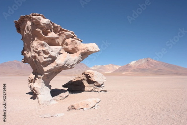 Obraz Árbol de Roca en Sud Lípez
