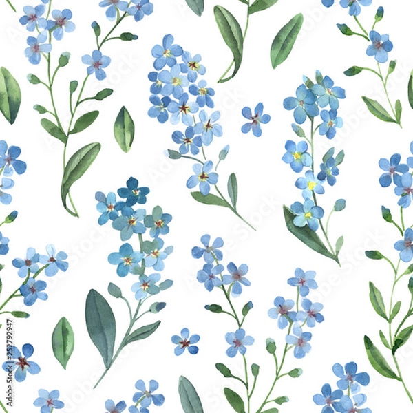 Fototapeta Watercolor seamless pattern of gentle blue flowers of forget-me-not with green leaves on white background.