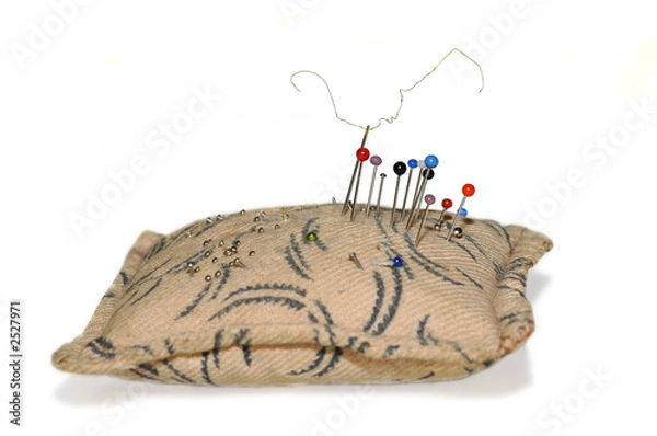 Fototapeta pincushion