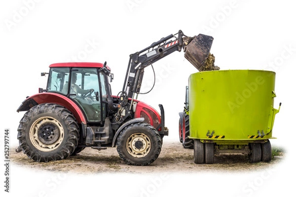 Fototapeta A tractor with a front loader loads silage feed into an animal feed distributor. Isolated photo. Necessary equipment for a dairy farm.