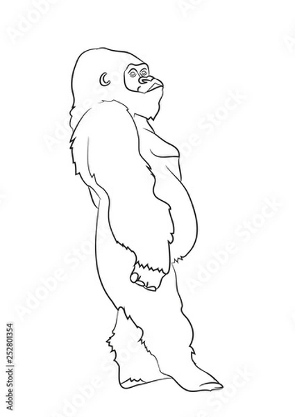 Fototapeta vector illustration of a gorilla, drawing by lines, vector