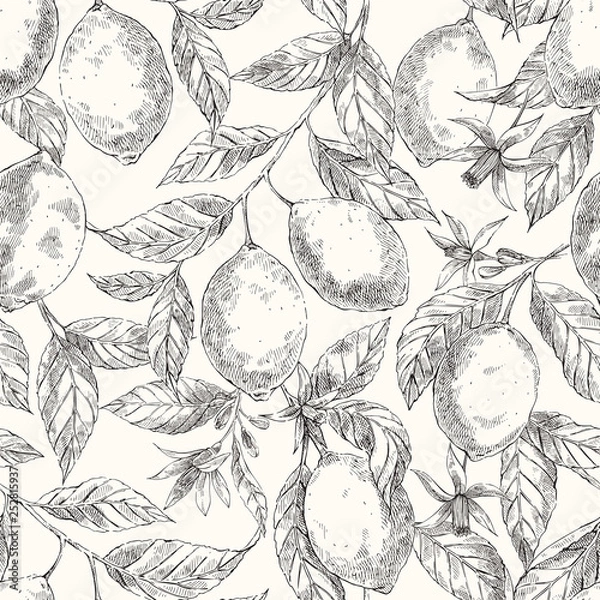 Fototapeta Lemons hand drawn vector seamless sketch pattern