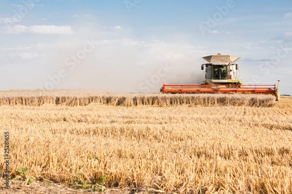 Obraz Getreideernte