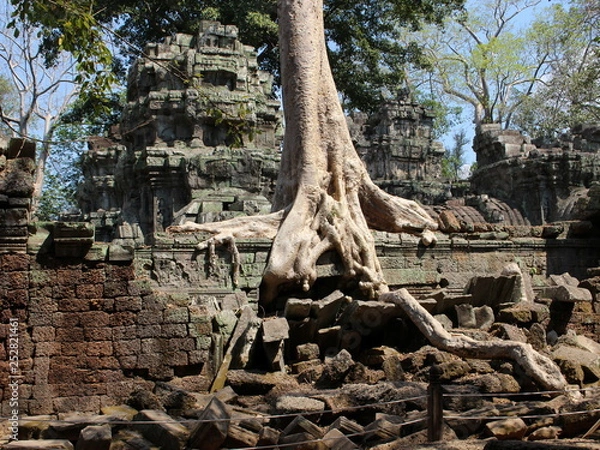 Fototapeta Giant tree roots and Ta Prohm ruins in Angkor, Cambodia