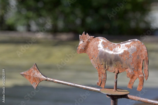 Obraz Richtungsweisend 5