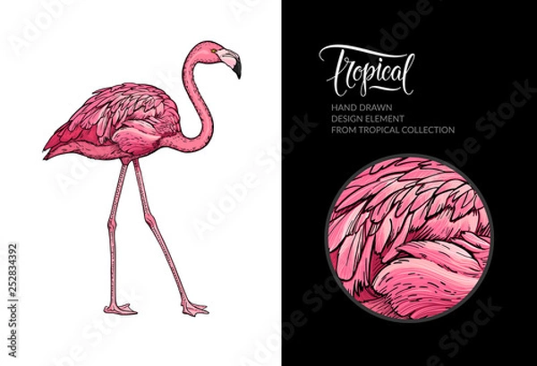 Fototapeta Vector pink flamingo isolated on white background. Tropical hand-drawn exotic bird. Flamingo illustration for summer poster, wallpaper, textile design, beach party decoration, logo. For print and web.